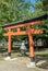 ToriiÂ inside the parkÂ Nara. National Reserve. Japan.